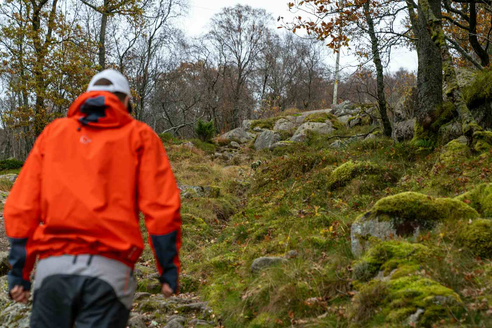 Man watching a waterfall in scenic surroundings in Norway