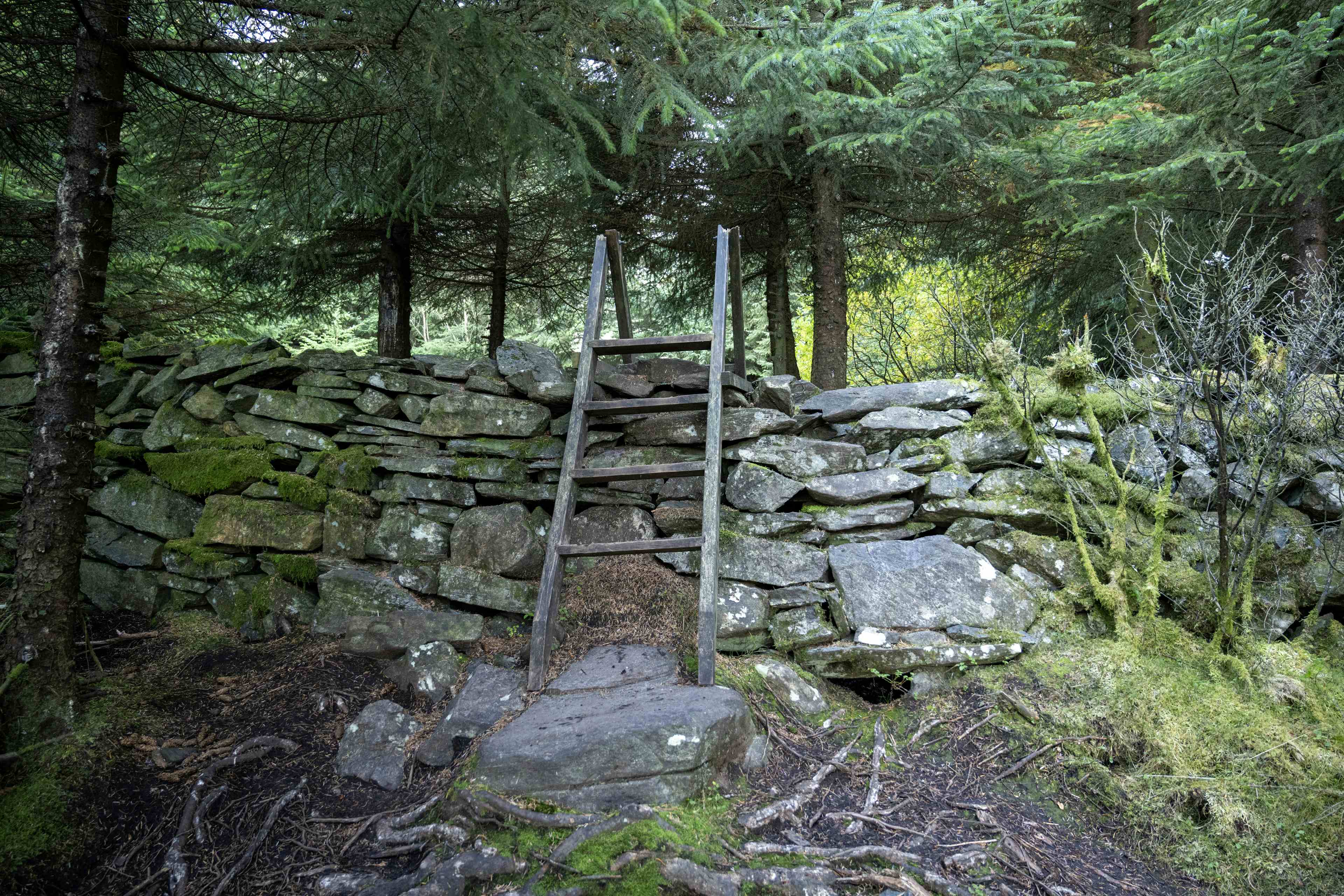 mountain hike, mountain views and fjord island views