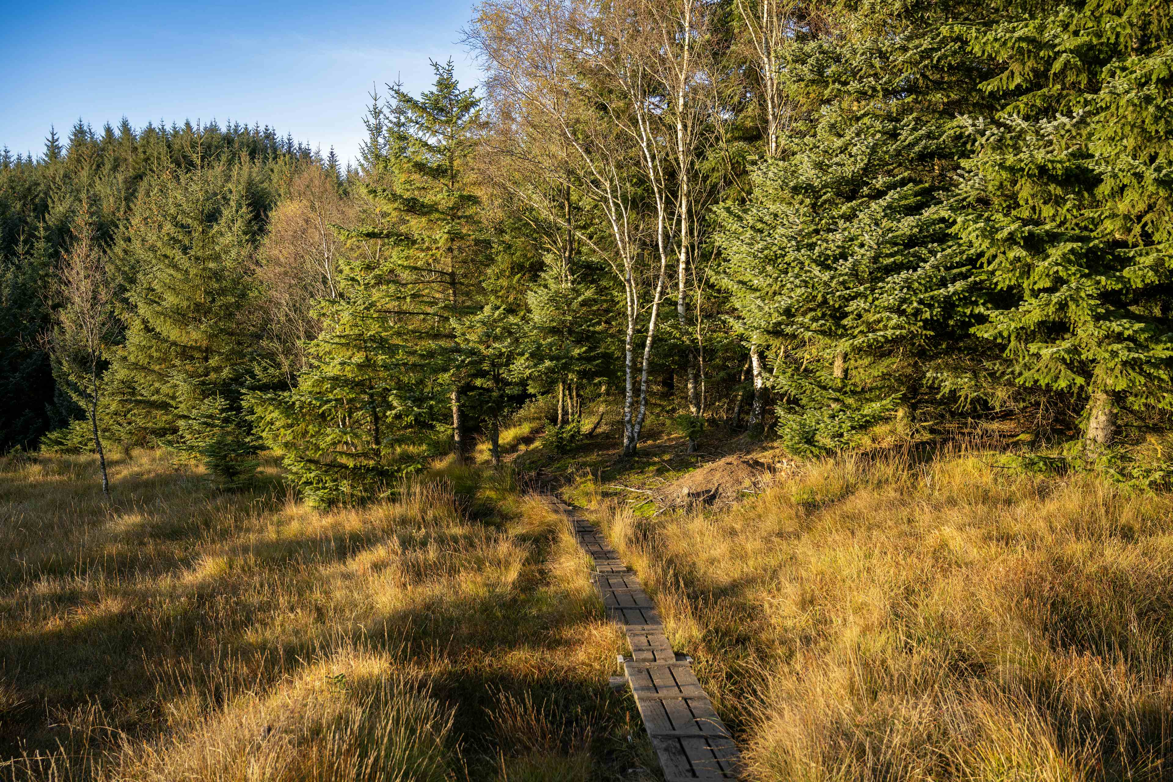 mountain hike, mountain views and fjord island views