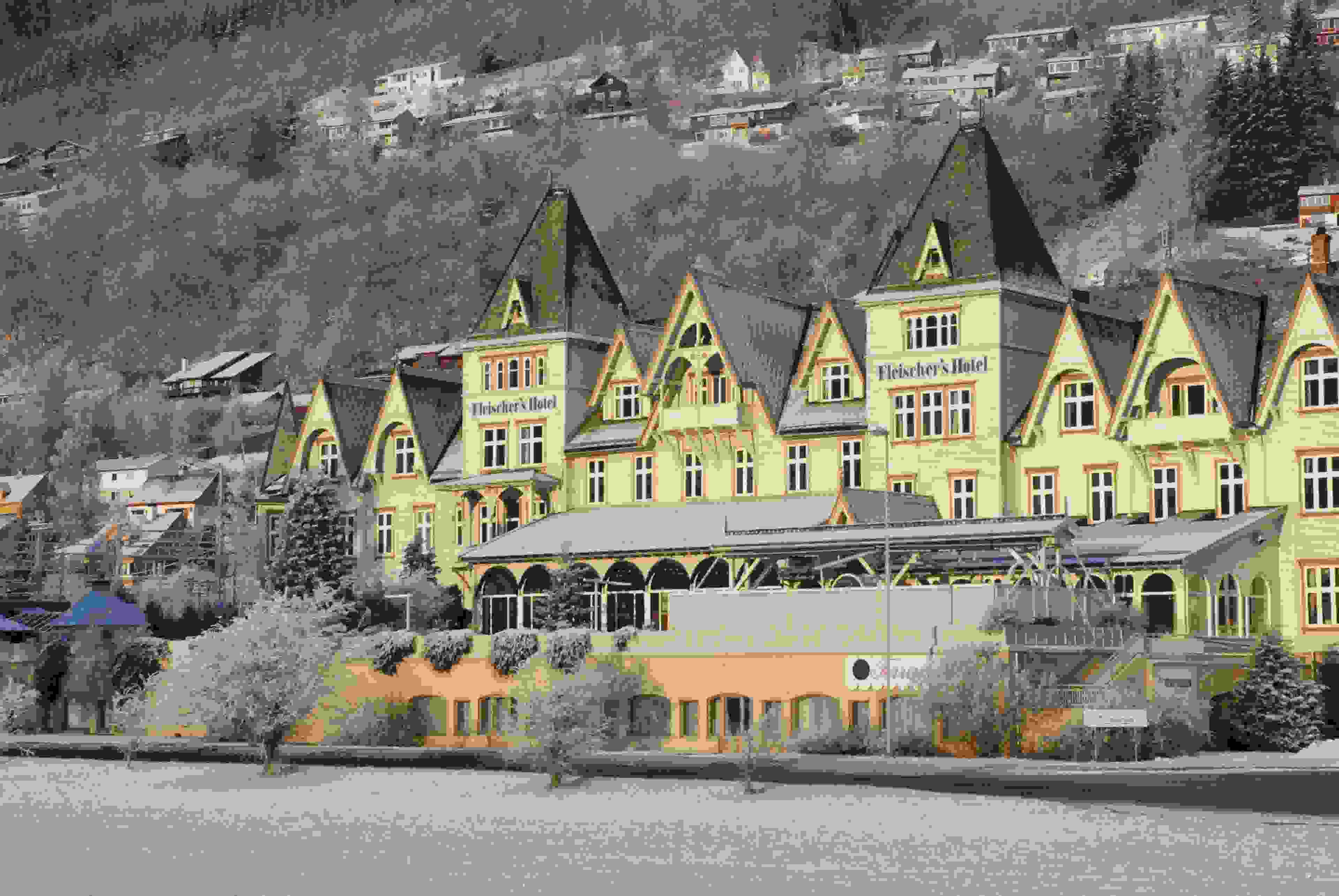 Fleischer's Hotel, Voss